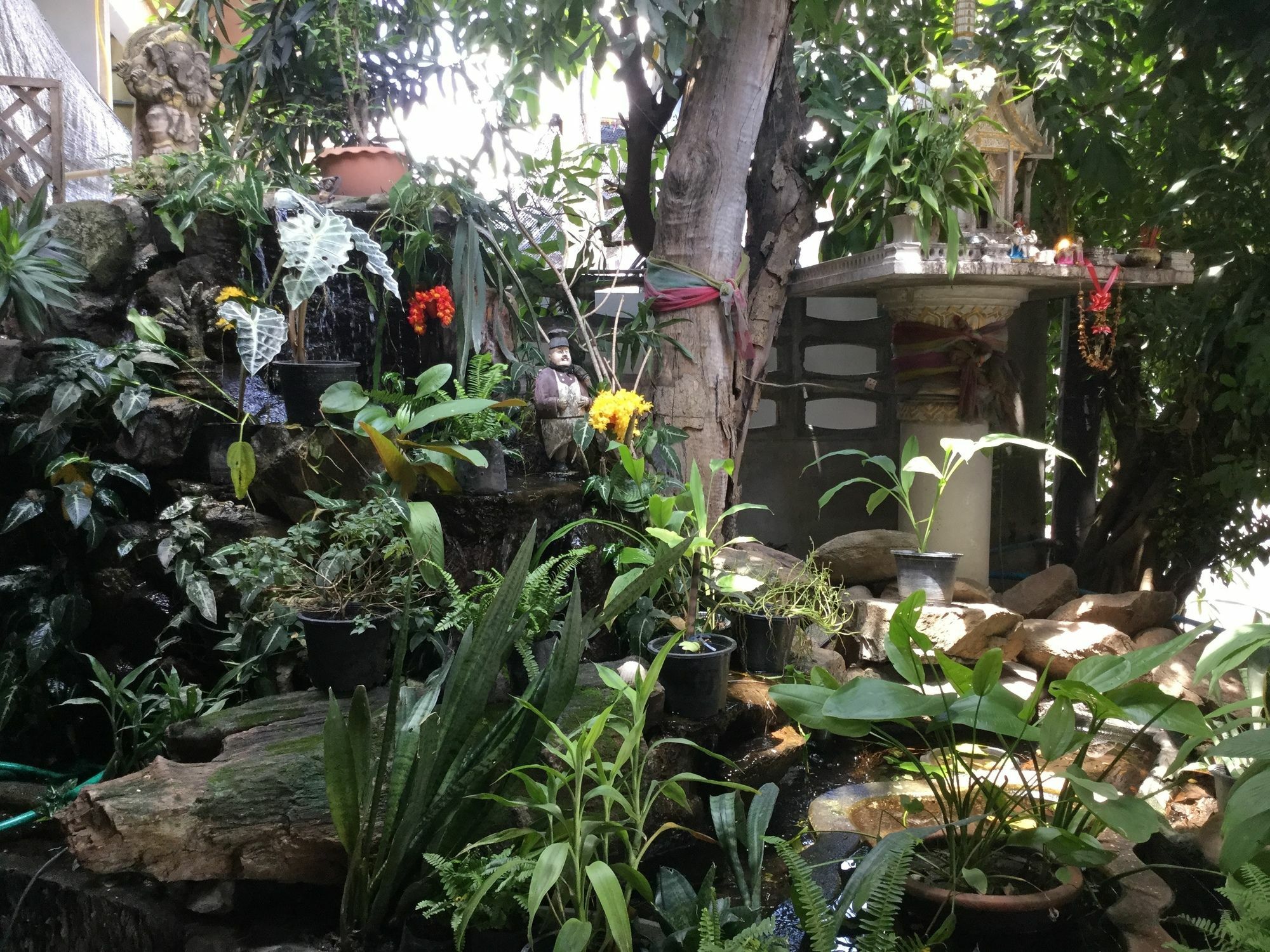 Rose Guest House Chiang Mai Exterior foto
